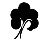 Propositions de logo pour un luthier