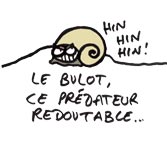 Quelques autres personnages adjoints au loup de mer